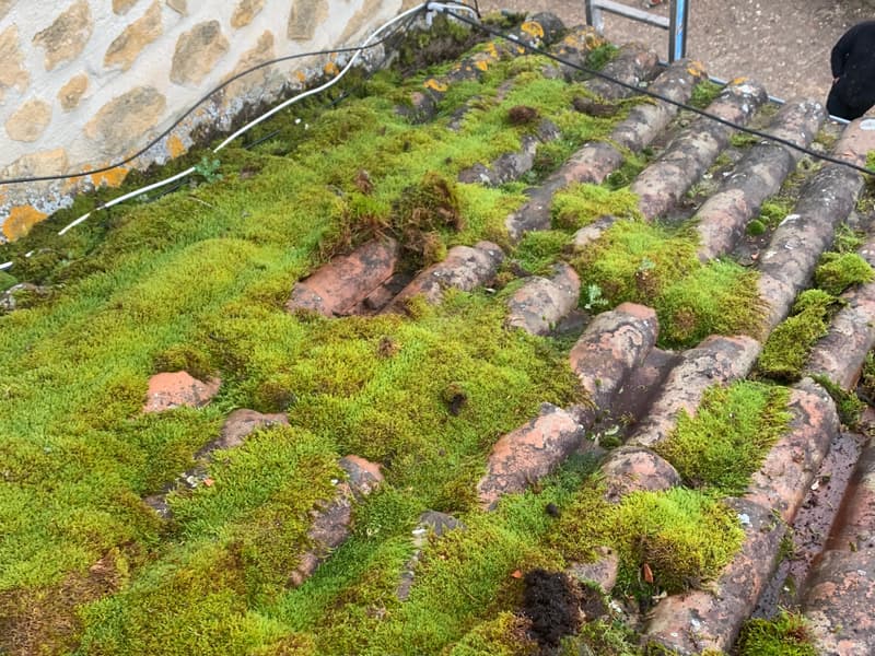 Démoussage manuel d'une toiture en tuiles canal envahie de mousse près de Sarlat-la-Canéda