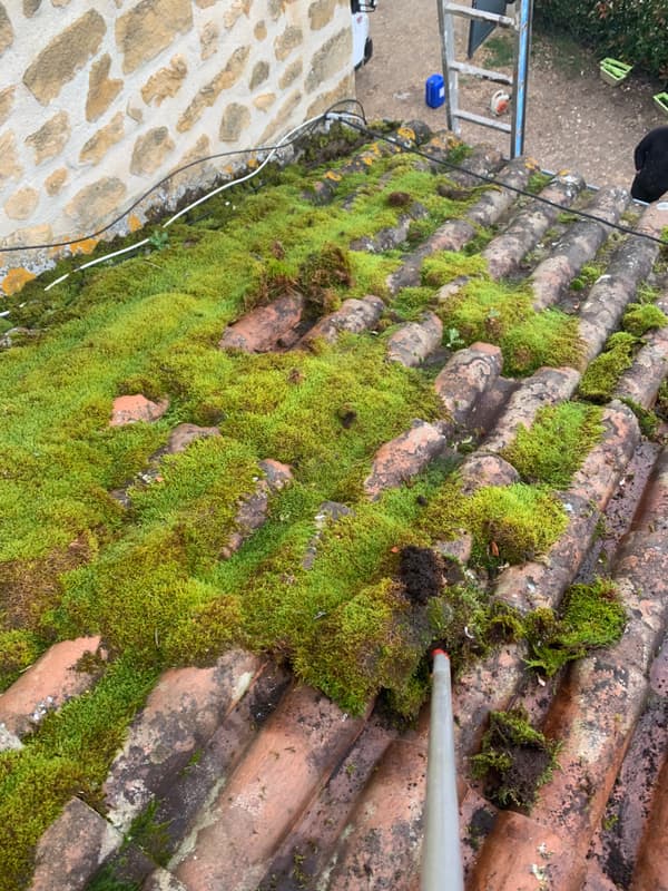 Démoussage manuel d'une toiture en tuiles canal envahie de mousse près de Sarlat-la-Canéda