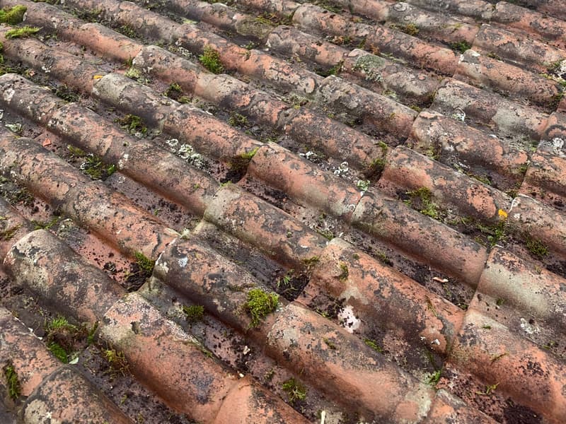 Toiture en tuiles canal encrassée par les lichens et la mousse avant nettoyage par TLP Rénove