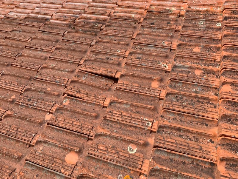 Tuiles mécaniques colonisées par les lichens sur une toiture à traiter en démoussage
